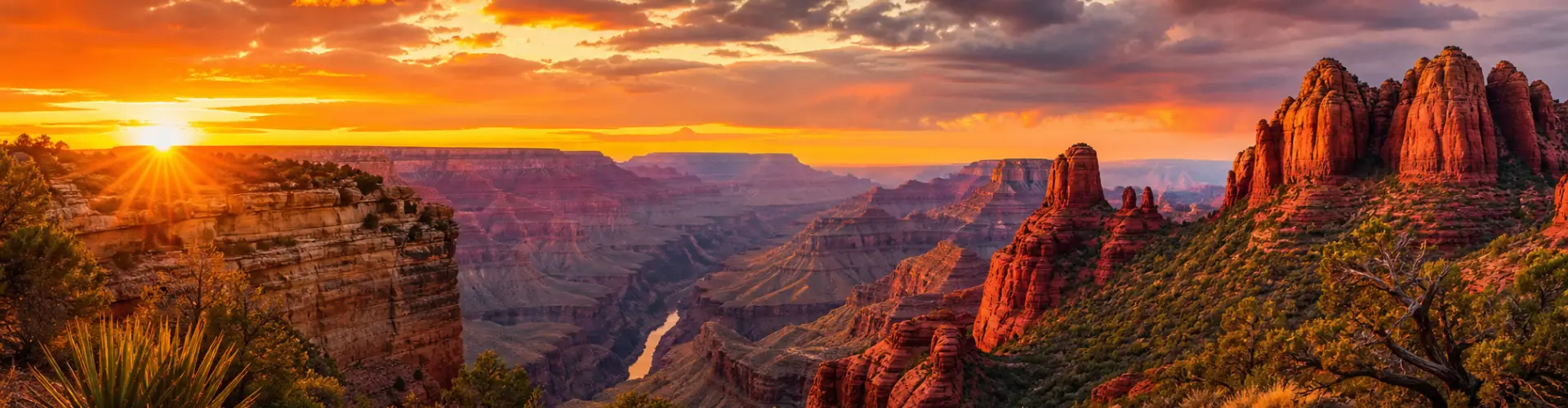 Arizona